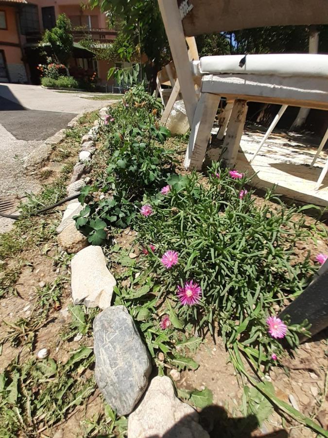 טוזלה Rooms & Apartment Gh Pasha מראה חיצוני תמונה